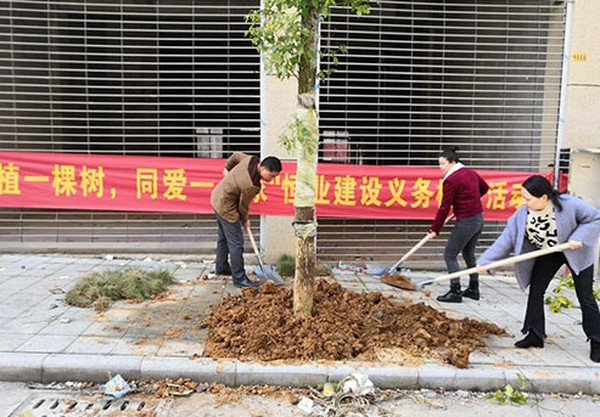 恒业建设开展3.12植树活动